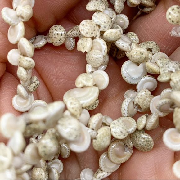 Vtg snail shell necklace tiny spiral button top seashell nautical long strand - Picture 4 of 4